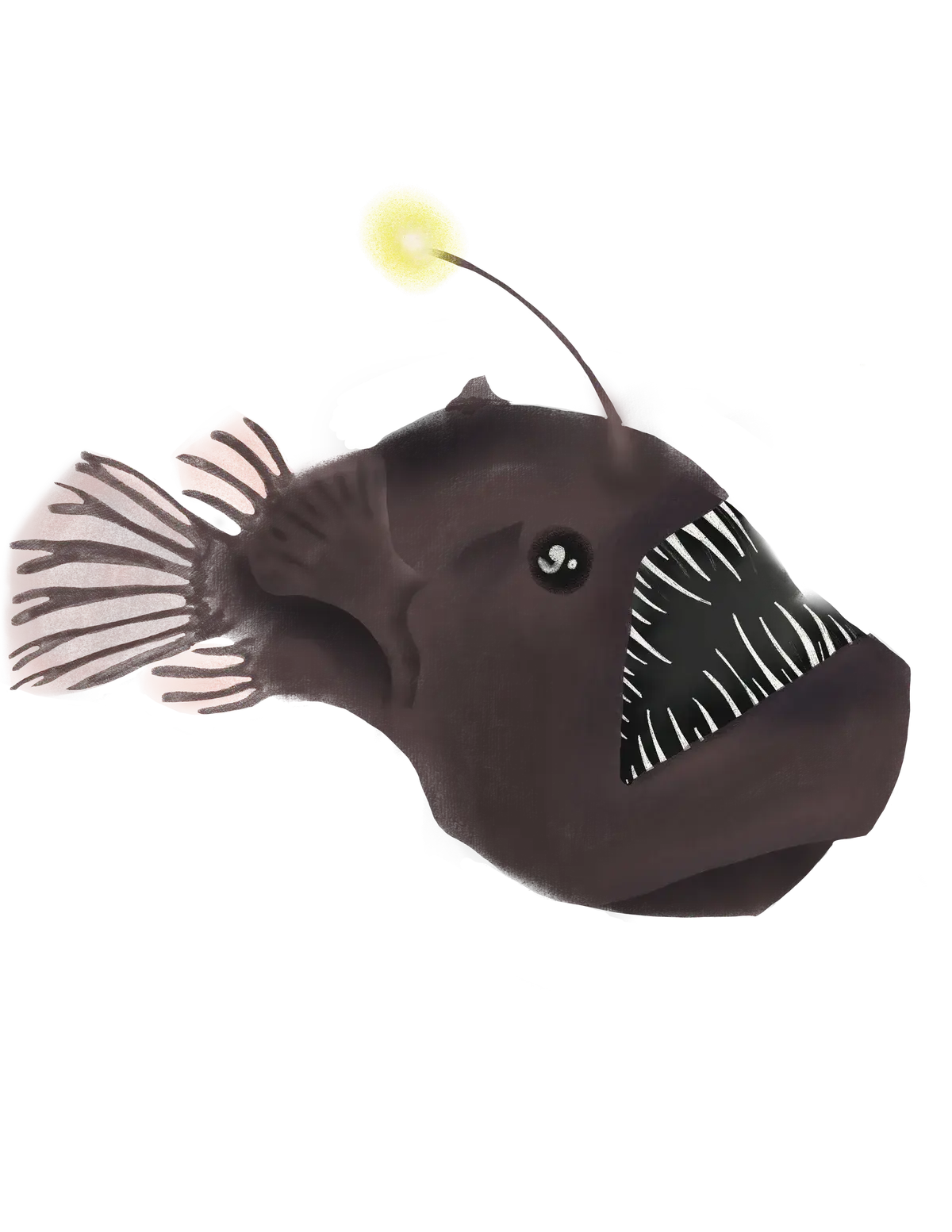 Taylor Swift vs. The Anglerfish