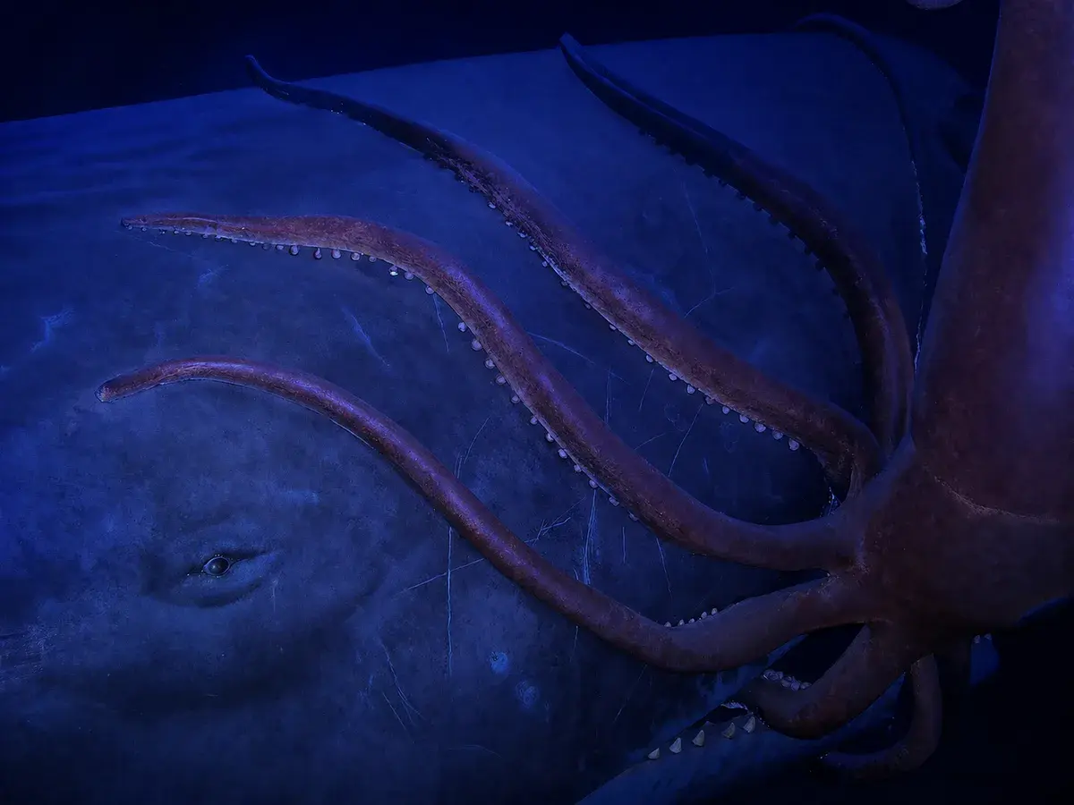 Sight, Sound and Survival in the Deep